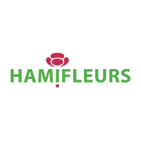 Hamifleurs