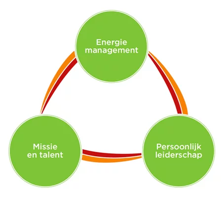 Energiemanagement Model Next step coaching